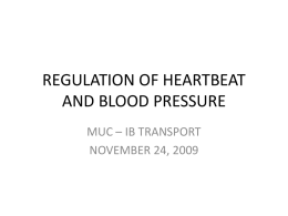 REGULATION OF HEARTBEAT AND BLOOD PRESSURE