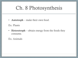 Ch. 8 Photosynthesis - YISS