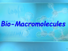 Biomacromolecules ppt