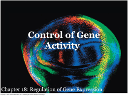 Control of Gene Activity