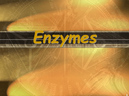 Enzymes - Westgate Mennonite Collegiate
