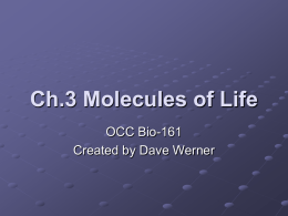 Chapter 3 The Chemical Building Blocks of Life - OCC