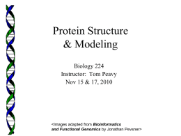 Protein Structure &amp; Modeling Biology 224 Instructor:  Tom Peavy