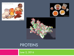 14. Protein Structure notes