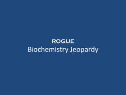 answer - RogueBCHES.com