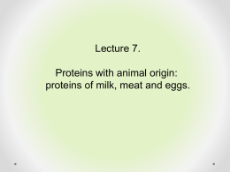L7 Proteins with animal origin - e