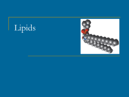 Chapter 10: Lipids