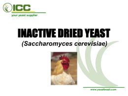 Inactive Dried Yeast