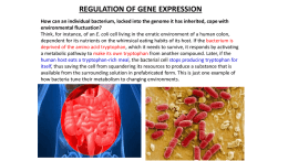 Unit 7 Molecular Genetics Chp 18 Regulation of