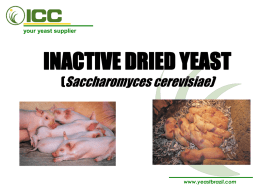 Inactive Dried Yeast