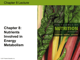 Chapter 8: Nutrients Involved in Energy Metabolism