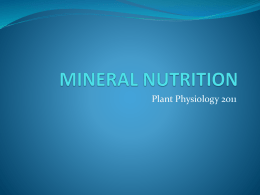 mineral nutrition