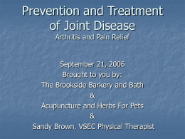 Arthritis pain/prevention/joint disease