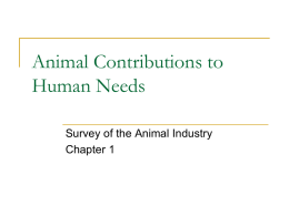 Animal Contributions to Human Needs