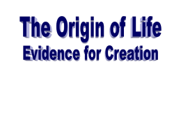 Origins of Life - Wesley Grove Chapel