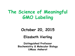 GMO-Vierlingx - Will Brownsberger