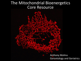 The Mitochondrial Bioenergetics Core Resource