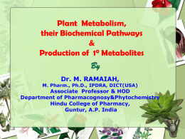 Biosynthesis of Plant Primary metabolitesx