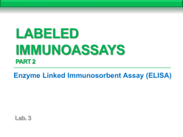 Lab. 3 Labeled Immunoassays