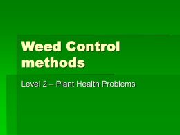 Weed Control methods