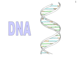 DNA . ppt - Biology Resources