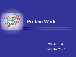 Protein Work