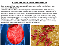 Unit 7 Molecular Genetics Regulation of Gene