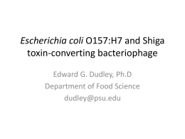 Escherichia coli - Sites at Penn State