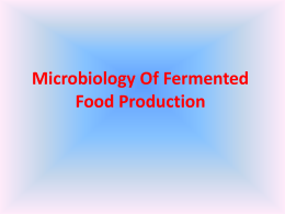 Microbiology Of Fermented Food Production