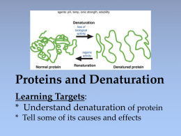 Proteins and Denaturation POWER POINT