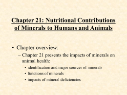 Minerals PowerPoint (Book ANS 114 ISU)