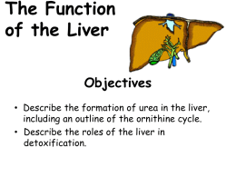 Lesson 3 liver functionx