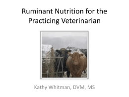 Ruminant Nutrition for the Practicing Veterinarian