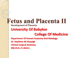 Development of the placenta: