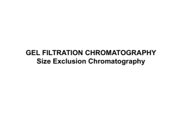 GEL FILTRATION CHROMATOGRAPHY Size Exclusion