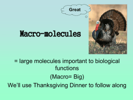Macro-molecules short 2014