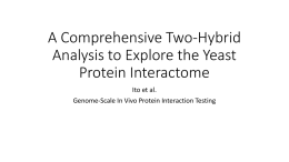 A Comprehensive Two-Hybrid Analysis to Explore the Yeast Protein