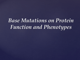 Base Mutations on Protein Function and Phenotype