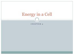 Energy in a Cell