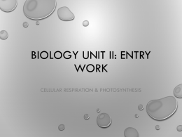 Biology Unit II: Entry Work