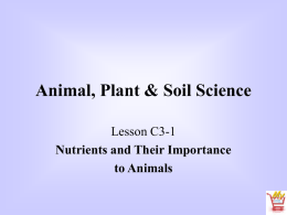 Feed - Animal Science 2