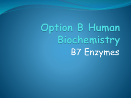 Option B7 Enzymes HL