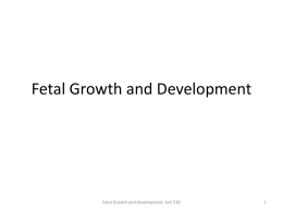 Fetal Growth and Developmentx