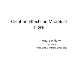 Haky 2012 Creatine Effects on Microbial Florax