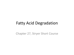 Fatty Acid Catabolism