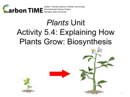 5.5 Explaining How Plants Grow: Biosynthesis PPT