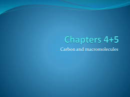 Chapters 4+5 - AP Biology 2012-2013
