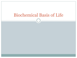 Biochemical Basis of Life FDx