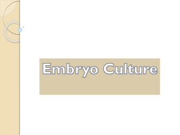 Embryo Culture - GCG-42