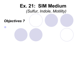 Ex. 24: SIM Medium
